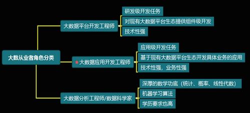 大數(shù)據(jù)開(kāi)發(fā)工程師與數(shù)據(jù)經(jīng)濟(jì)信息咨詢(xún) 技能融合與職業(yè)發(fā)展